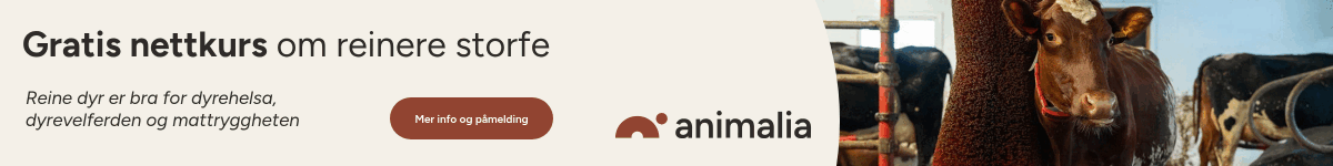 Animalia AS