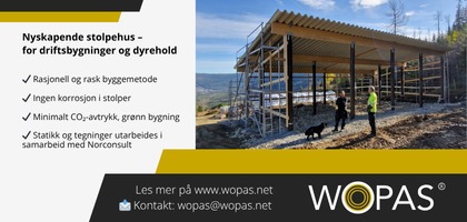 Wopas