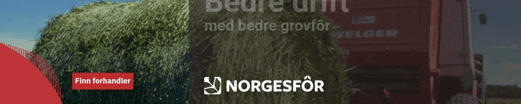 Norg-2025
