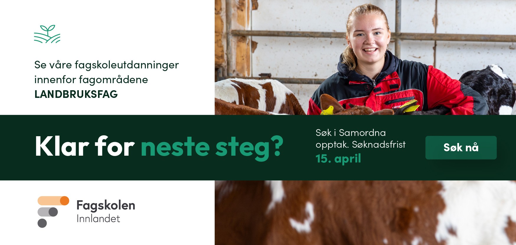 Innlandetfylkeskommune