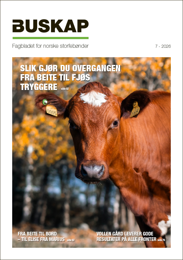 Forsiden til siste utgave